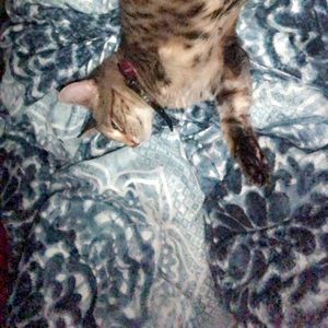 Meet your Posher, Malorie